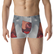 Load image into Gallery viewer, Fly GODZ Boxer Briefs