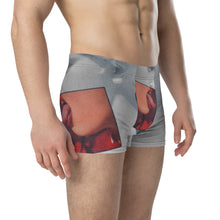 Load image into Gallery viewer, Fly GODZ Boxer Briefs